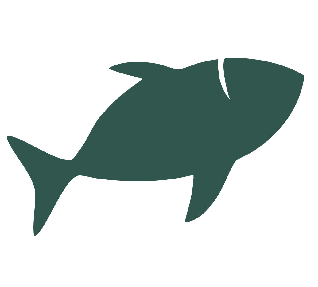 Categoría pescados y mariscos 